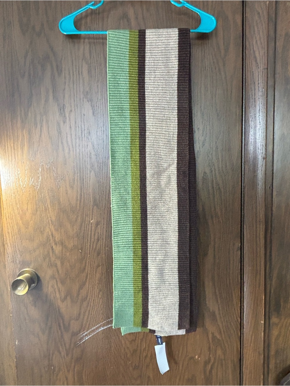 Gap Ribbed Knit Striped Lambswool Scarf NWT